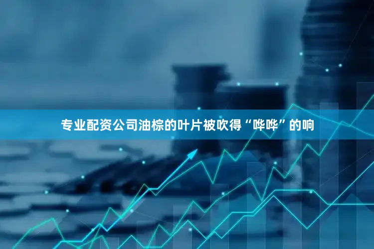 专业配资公司油棕的叶片被吹得“哗哗”的响