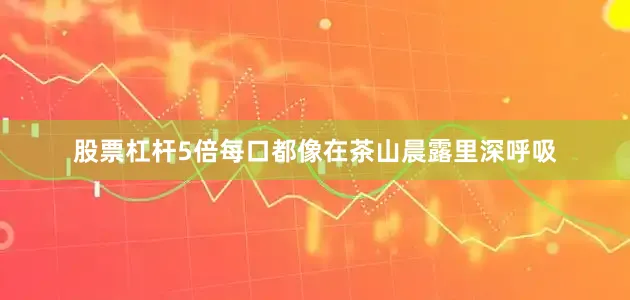 股票杠杆5倍每口都像在茶山晨露里深呼吸