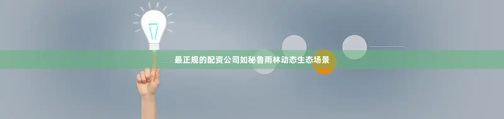最正规的配资公司如秘鲁雨林动态生态场景