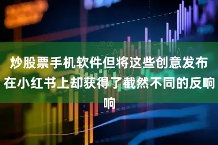 炒股票手机软件但将这些创意发布在小红书上却获得了截然不同的反响